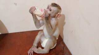 Mom So Much Love Sono Because He Can Hold Bottle Milk Drink By Himself