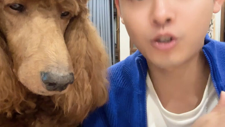 قبل أن تربي كلبًا باهظ الثمن، كنت تعتقد أنه فتى أحلام عالم الكلاب؛ لكن بعد أن ربيته، اكتشفت أن محفظت