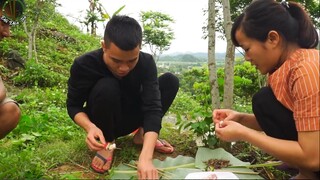 ĐI ĐÀO DẾ MÈN và MỘT BUỔI TRẢI NGHIỆM THÚ VỊ _ Đôi Đũa Tre