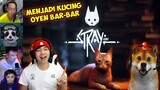 Reaksi MiawAug & Obit Menjadi Kucing Oyen Bar-Bar | Stray Indonesia