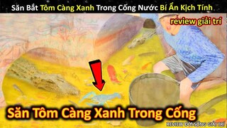 Săn Bắt Tôm Càng Xanh Cực Thú Vị Trong Cống Nước Bí Ẩn Đầy Cá Sấu || Review Giải Trí Đời Sống