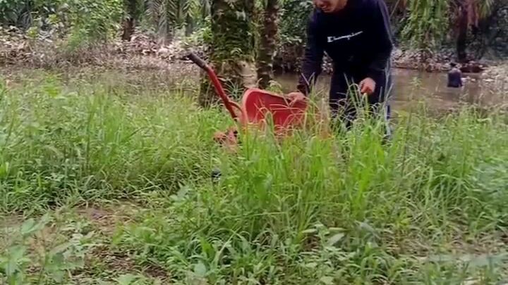 emang boleh seegituu🤦