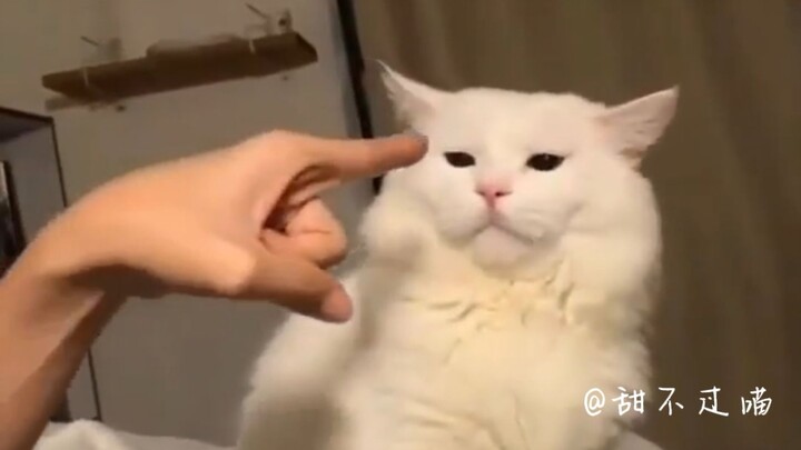 "A rebellious spirit!!!"