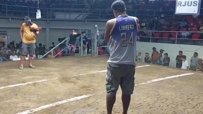 awwtts..my bad...nabawasan nanaman patukain olat's ang Goldie grey...