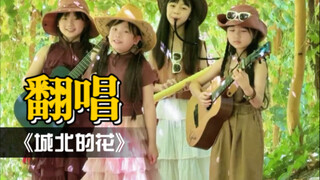 在新疆吐鲁番的葡萄架下翻唱《城北的花》