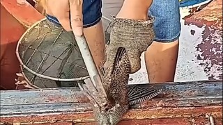 คนเก็บขยะ: นี่มันงานอะไรกันเนี่ย?