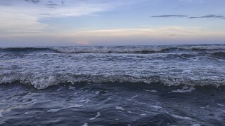 The beach