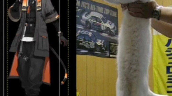 A mother sheep is shocked by her kitten's height [Fulgur Ovid/NIJISANJI EN]