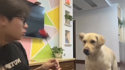 ชีวิตต้องมีความโรแมนติกหน่อย สามปีแล้วที่เป็นคู่สามีภรรยาเก่าแก่ ดูสิว่าน้องสะใภ้ตื่นเต้นขนาดไหน || 