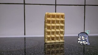 爱丽丝结算动画