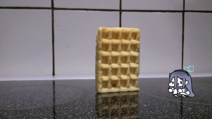 แอนิเมชั่นการตั้งถิ่นฐานของอลิซ