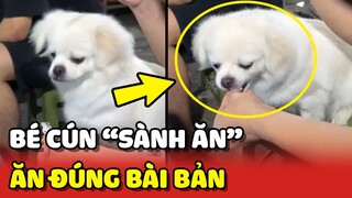 Bé cún SÀNH ĂN khẳng định BÚN ĐẬU phải ăn cùng MẮM TÔM 😂 | Yêu Lu