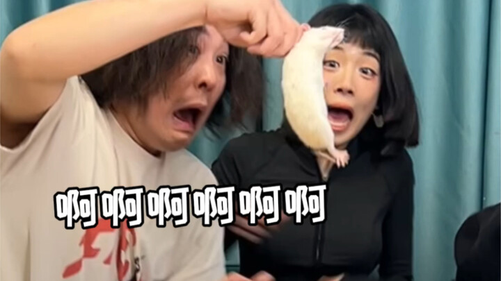 หนูๆ ฉันวันนี้คอสเป็นกระต่ายน้อยนะ!