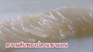 ความลับของปลาแซวมอน
