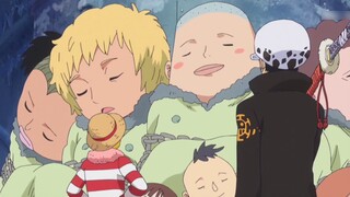 [One Piece 120] The final battle of Dressrosa in the first part, Luffy and Law formed an alliance to