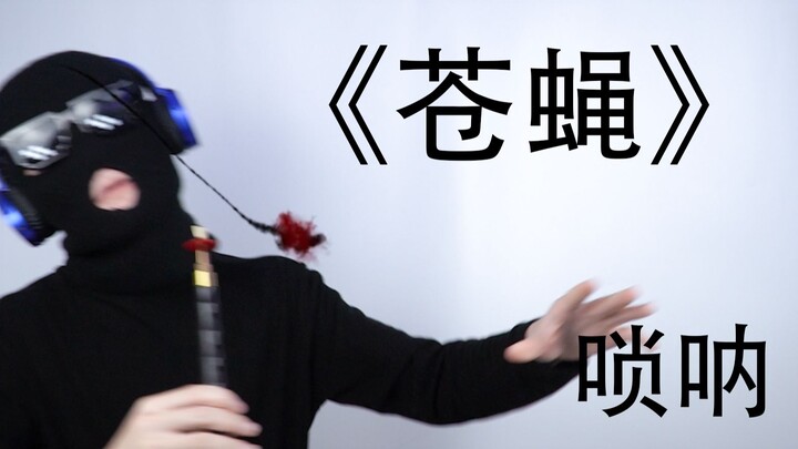 【唢呐】苍蝇