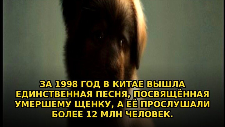За 1998 год в Китае вышла единственная песня #shorts