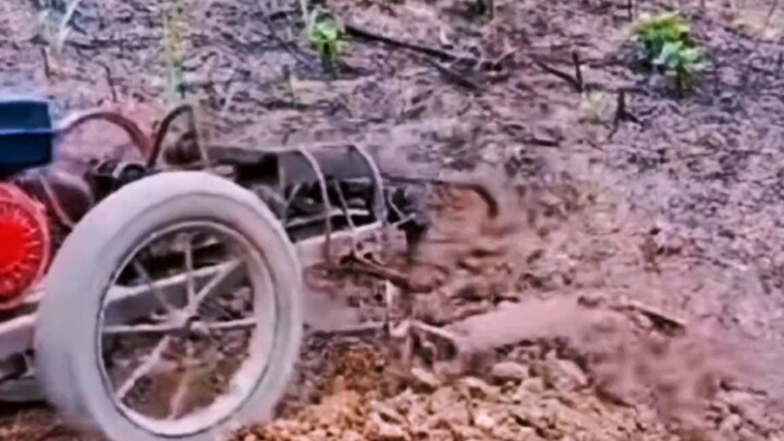 Let it dig on its own; let’s just get some sleep first.