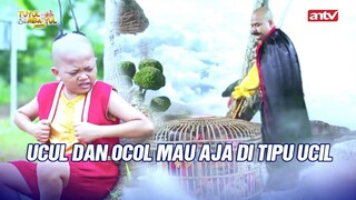 Ucil Berhasil Melarikan Diri Dari Tuan Raja | Tuyul dan Mbak Yul Eps 3 (5/5)