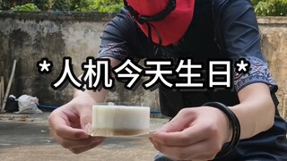 鼠鼠今天生日，可以放过鼠鼠吗？鼠鼠会报答你的！