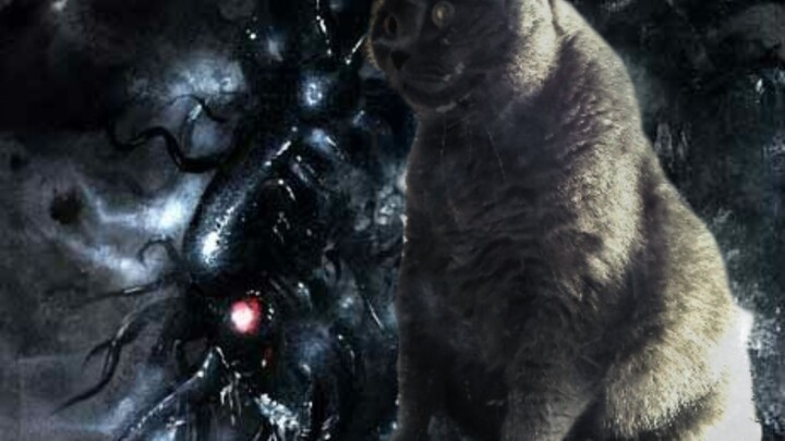 When life doesn’t go your way, summon Miao Sululu!