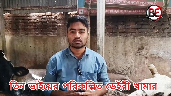 তিন ভাইয়ের পরিকল্পিত ডেইরী খামার
