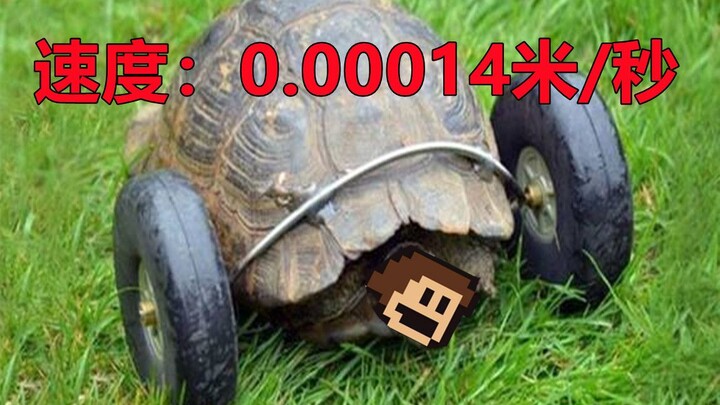 “Aku nggak tahan lagi!!!” (Memilih untuk mati)