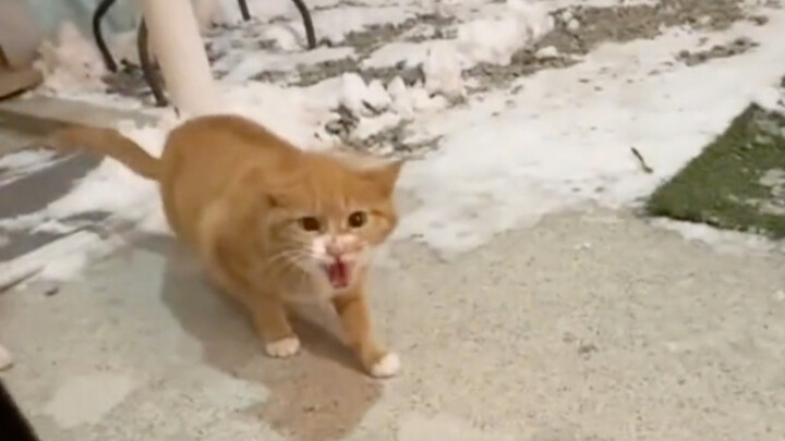 แค่แม่มันยืนอยู่ตรงนั้น ก็รู้เลยว่าแข็งแกร่งจนน่ากลัว