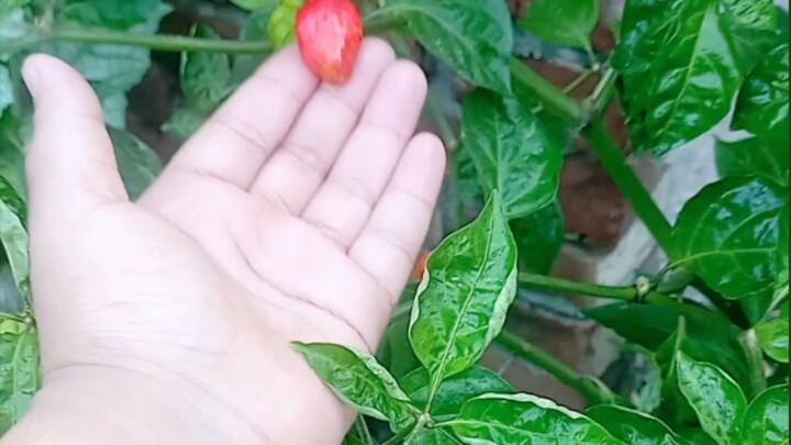 A beautiful moment in the rooftop garden with my son #blog