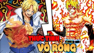 Thức Tỉnh VÕ RỒNG, Sức Mạnh BÍ TRUYỀN của Dragon truyền đạt cho Sabo! - One Piece