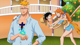 New Straw Hat Member Confirmed! Marco's True Power!? - One Piece