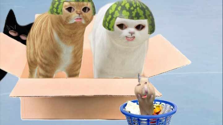 معركة ذكية بين الفأر والقطة في الثلج