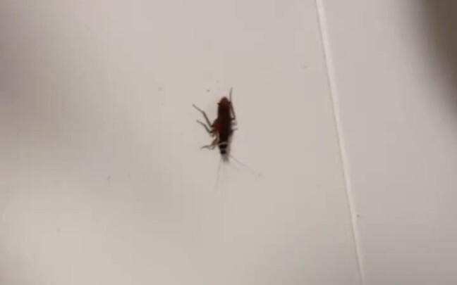 The best way to overcome fear is to face it.