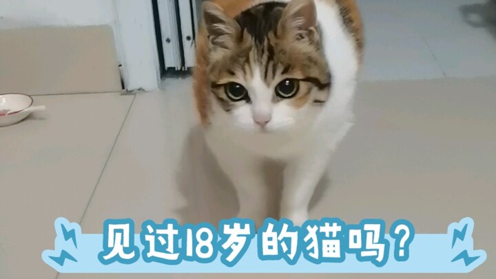 18-year-old Bomi is walking towards you～