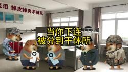 当你下连被分到干休所