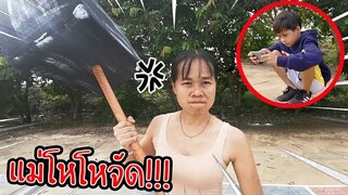 แม่สายโสด VS พ่อบ้านใจกล้า คิดว่าจะหนีพ้นหรอ / TiggerShow x Free Fire