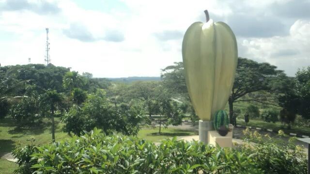 Batu Arang,Selangor,Malaysia/马来西亚雪兰莪州煤炭山(2017)