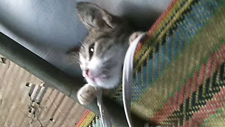 Rert casd Jacob 😍😍