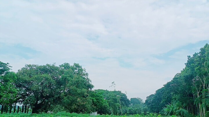 Happy Moment 🍃