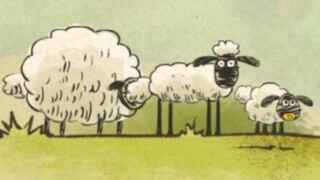 Do you remember these three little lambs?