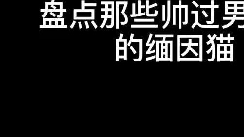 Any offensive contact will be deleted immediately #I was so handsome by a cat