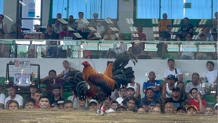 2nd Fight || 2 hits ZAPOTE COCKPIT CHAMPION