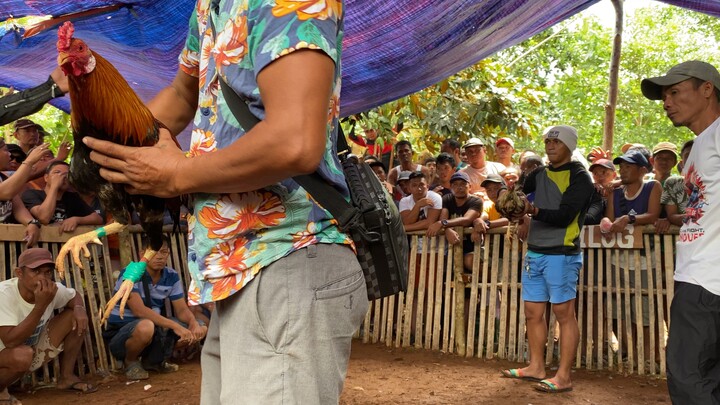 07/15/25 Rosita pista