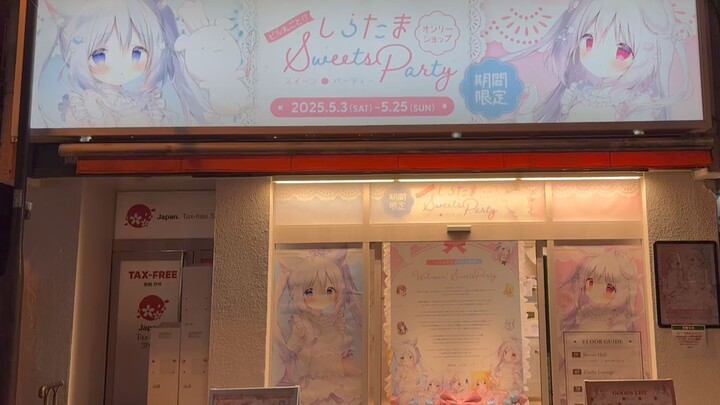 白玉老师Only shop开张了