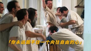 你永远阻止不了一颗向往自由的心