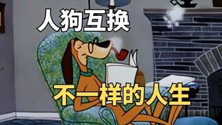 男人和自家的狗互换了灵魂，开启了完全不一样的人生