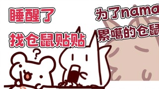 [Rat Candy] Aku hampir lelah mempersiapkan hari jadi~ Temukan stiker hamster dan minum air