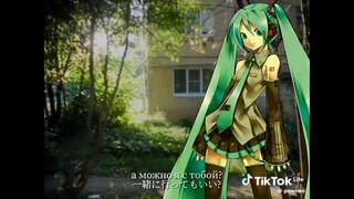 а можно я с тобой (Miku Cover)