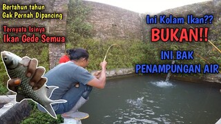 KAYAK NEMU HARTA KARUN || Mancing Di Bak Penampungan Air, TERNYATA ISINYA BABON SEMUA!!