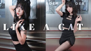 【舞小喵】LIKE A CAT 竖屏版️♡黑喵的诱惑~